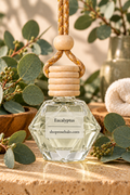 Hanging car air freshener - Eucalyptus